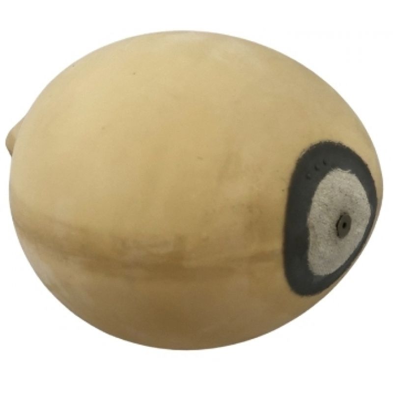 Bladder for the SP loft ball - PP-SP In preparation Your Sports Performance