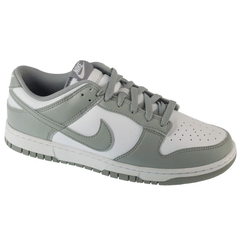 Nike Dunk Low Retro HF5441-105 shoes Footwear/Lifestyle/Nike Nike