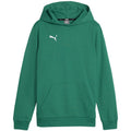 Puma Team Goal Casuals Hoddy Jr sweatshirt 658619 05 Clothing/Training Puma