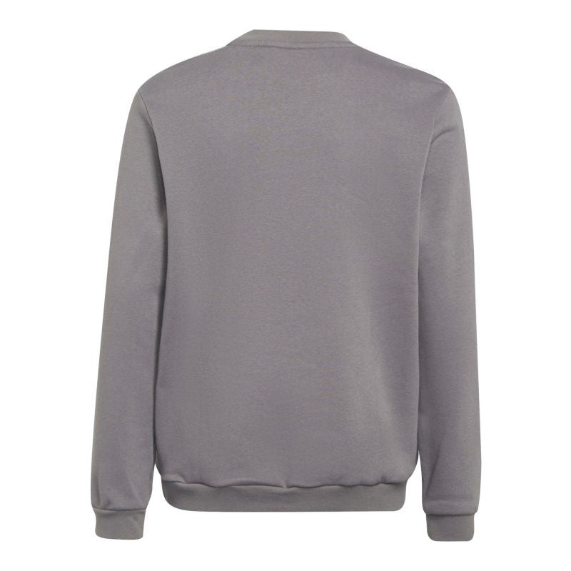 Adidas Entrada 22 Sweat Top Jr H57477 sweatshirt Clothing/Football Adidas