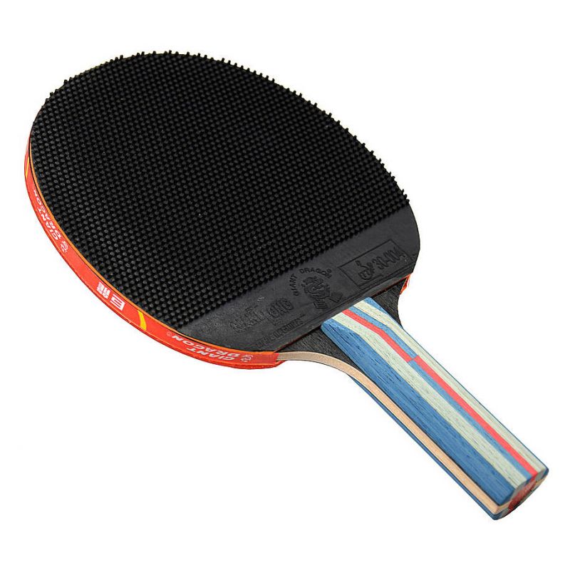 Giant Dragon 6★ N8062 Table Tennis Racket Accessories/Rackets and accessories Your Sports Performance