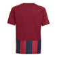 Adidas Striped 24 Jr T-shirt IW2139 Clothing/Football Adidas