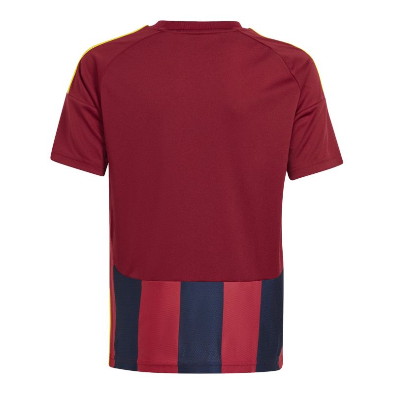 Adidas Striped 24 Jr T-shirt IW2139 Clothing/Football Adidas
