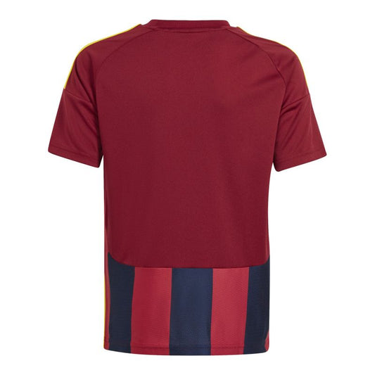 Adidas Striped 24 Jr T-shirt IW2139 Clothing/Football Adidas