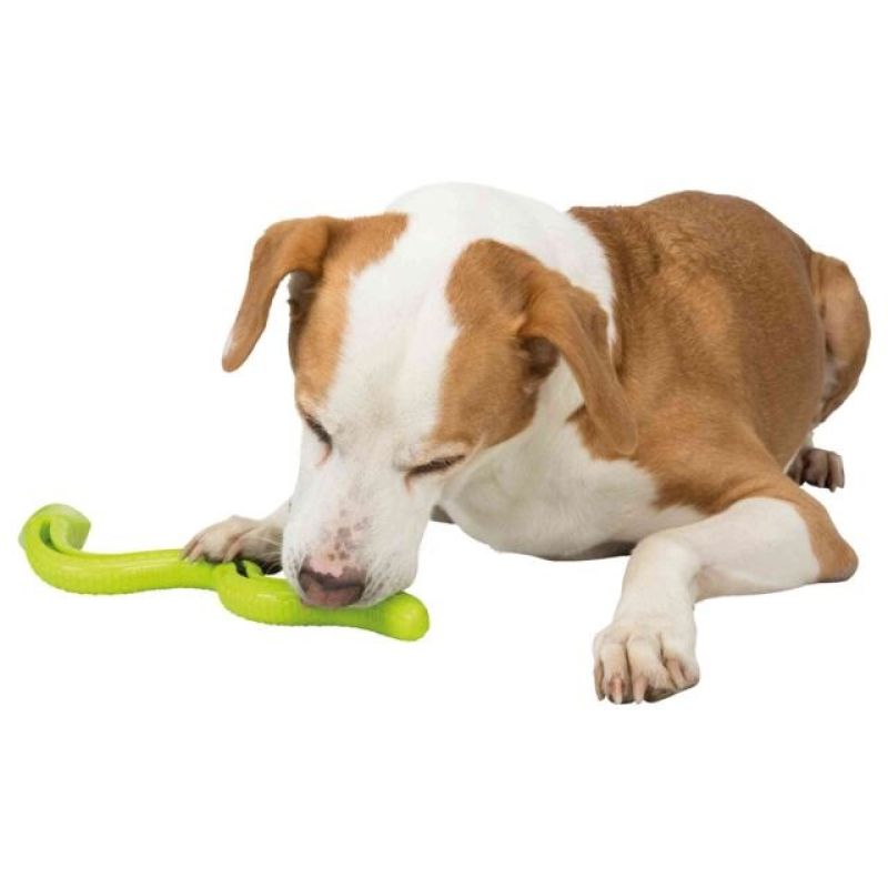 Dog treat hose, TPR, 27 cm Dla psa/Zabawki Your Sports Performance