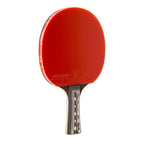 Giant Dragon 9★ N8091 Table Tennis Racket Accessories/Rackets and accessories Your Sports Performance
