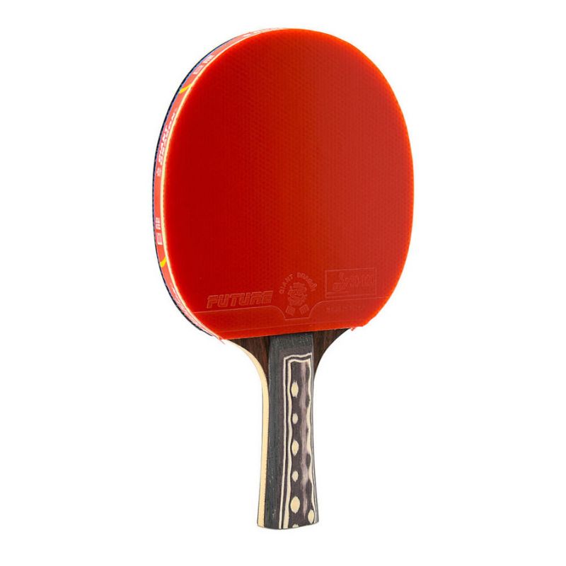 Giant Dragon 9★ N8091 Table Tennis Racket Accessories/Rackets and accessories Your Sports Performance