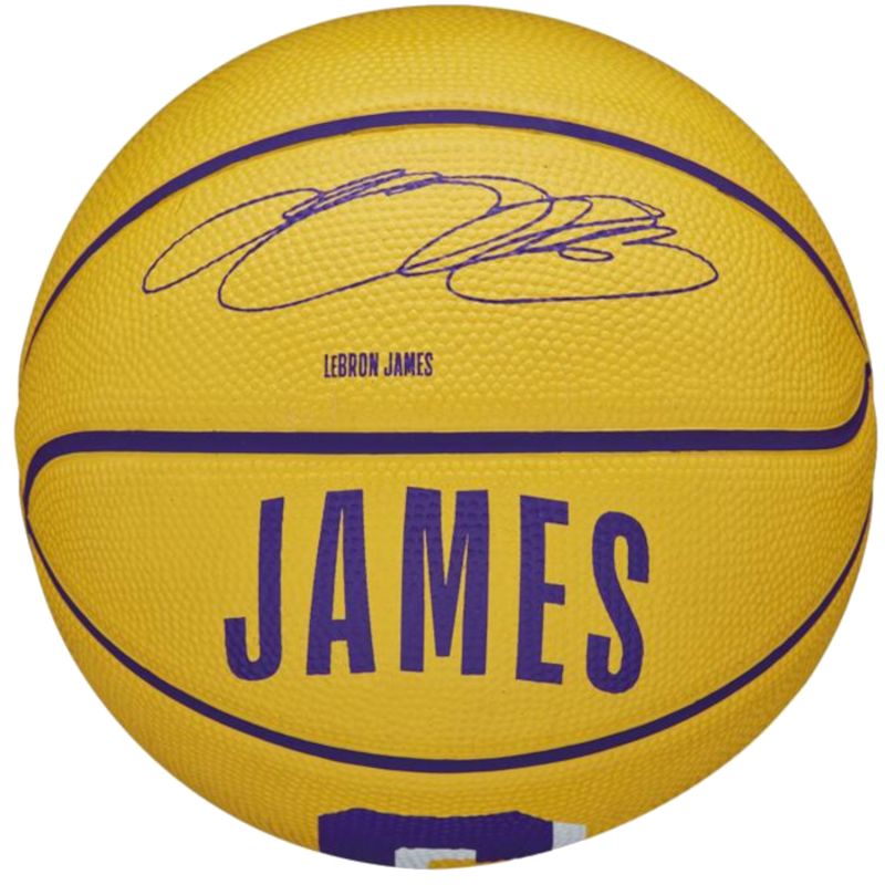 Ball Wilson NBA Player Icon Stephen Curry Mini Ball WZ4007401XB Accessories/Balls/Basketball Your Sports Performance