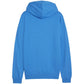 Puma Team Goal Casuals Hooded M 658595 02 sweatshirt Clothing/Football Puma