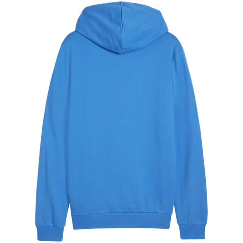 Puma Team Goal Casuals Hooded M 658595 02 sweatshirt Clothing/Football Puma