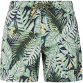 Men's swim shorts PROTEST Prtglory khaki