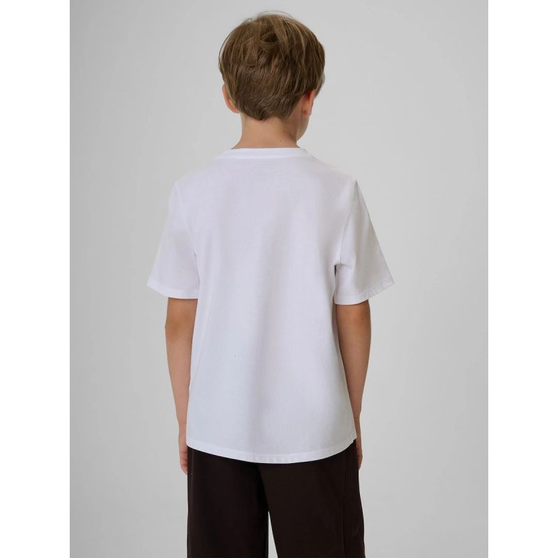 Boy's regular printed T-shirt 4F 4FJKAW26TTSHM4452-10S