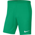 Nike Dry Park III NB K Men's Shorts Green BV6855 324