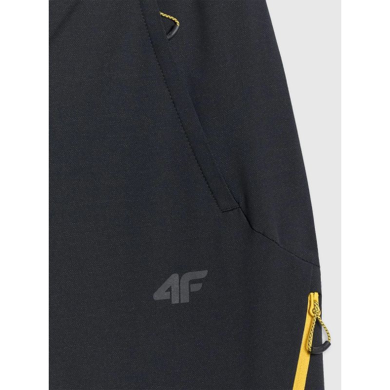 Men's trekking trousers 4F 4FRAW25TFTRM1233-20S 4f