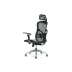 Ergonomic office chair ERGO 500 gray Fotele/Fotele biurowe Your Sports Performance
