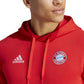 adidas FC Bayern Dna Hoodie M HY3291 Clothing/Football Adidas