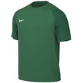 Nike Dri-Fit Academy II Men's T-Shirt Green HV8160 302