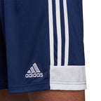 Adidas Tastigo 19 M DP3245 shorts Clothing/Training Adidas