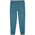 Trousers 4F M 4FWAW24TFTRM682 46M Clothing/Lifestyle/Trousers, shorts/4F 4F
