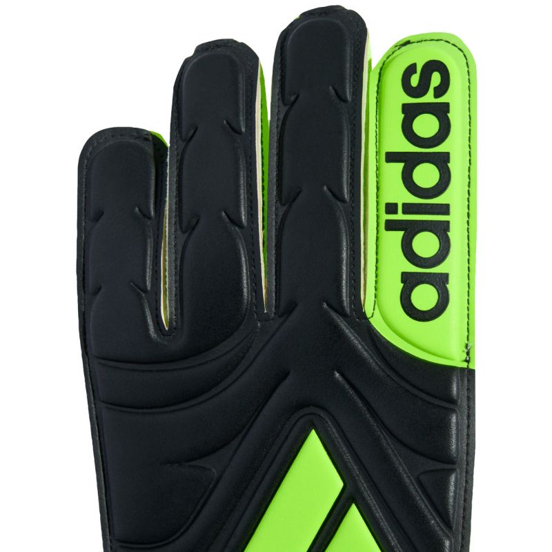 adidas Copa Club Jr JN5341 Goalkeeper Gloves Accessories/Gloves Adidas