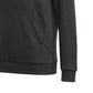 Adidas Essentials Jr GN4027 Hoodie Clothing/Lifestyle Adidas