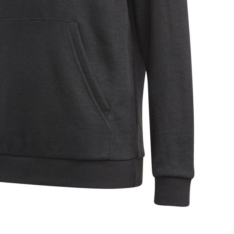 Adidas Essentials Jr GN4027 Hoodie Clothing/Lifestyle Adidas