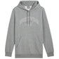 Puma Ess+ Logo LAB Gradient Hoodie FL M 681775 03 Clothing/Lifestyle Puma