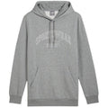 Puma Ess+ Logo LAB Gradient Hoodie FL M 681775 03 Clothing/Lifestyle Puma