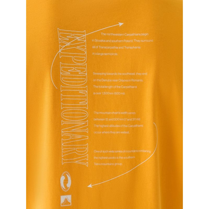 Men's oversized printed T-shirt 4F 4FRAW24TTSHM2578-70S 4f