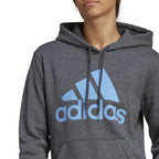 Sweatshirt adidas Big Logo FL R HD W IC9845 Clothing/Training Adidas