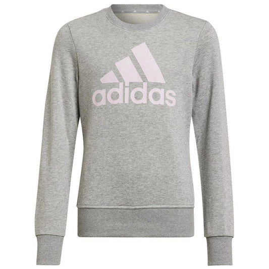 Sweatshirt adidas Big Logo Swt Jr HM8706 Clothing/Lifestyle Adidas