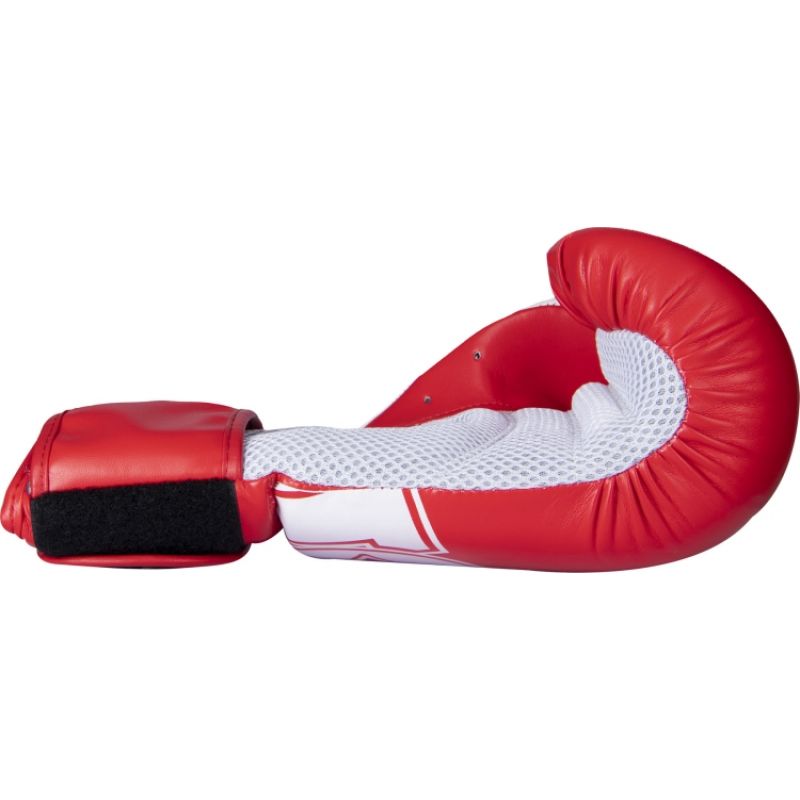 RTT-NK3 Boxing Gloves Red 10 oz In preparation Your Sports Performance