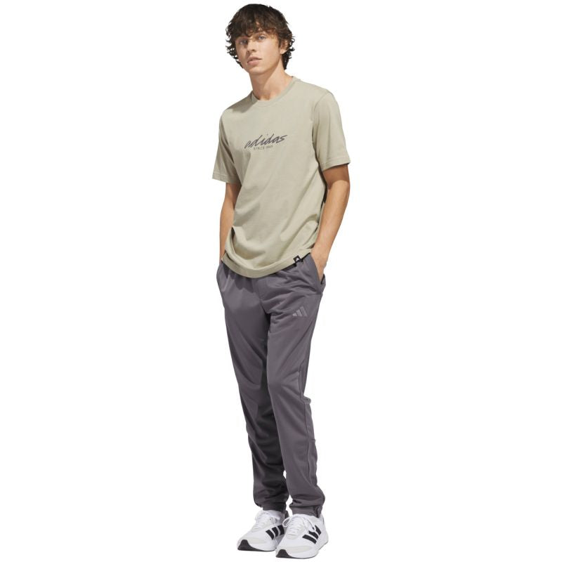Men's adidas Color Connect Graphic T-shirt beige KE1315