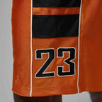 Men’s Jordan Brooklyn Cat Scratch Sports Shorts HV0560-847