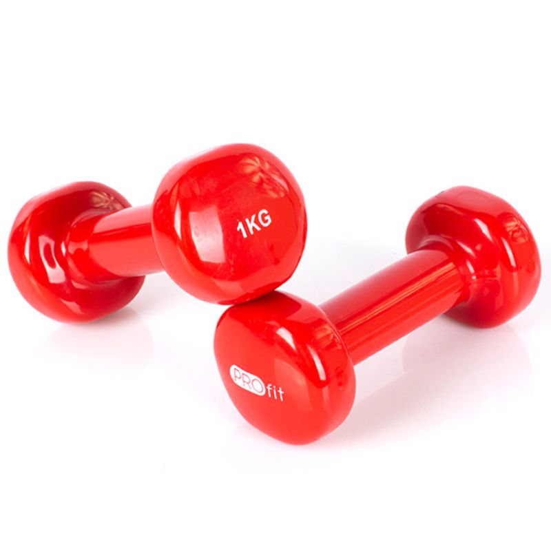 Vinyl dumbbell PROfit 0.5kg DK 4102