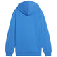 Puma Team Goal Casuals Hoddy Jr sweatshirt 658619 02 Clothing/Training Puma