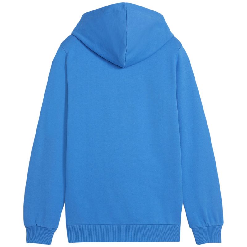 Puma Team Goal Casuals Hoddy Jr sweatshirt 658619 02 Clothing/Training Puma
