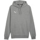 Puma Team Goal Casuals Hoody M 658618 33 Clothing/Training Puma