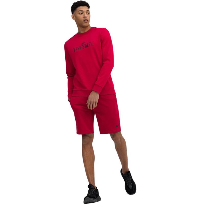 Shorts 4F M156 M 4FSS23TSHOM156 62S Clothing/Lifestyle/Trousers, shorts/4F 4F