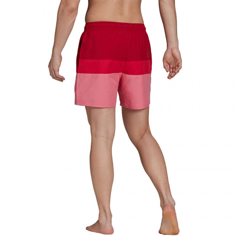 Adidas Colorb M GU0312 shorts Clothing/Training Adidas