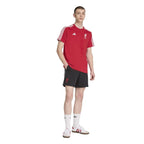 adidas Liverpool LFC DNA T-shirt JW7889 In preparation Adidas