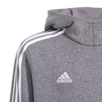 Adidas Tiro 21 Sweat Hoody Jr GP8803 Clothing/Training Adidas