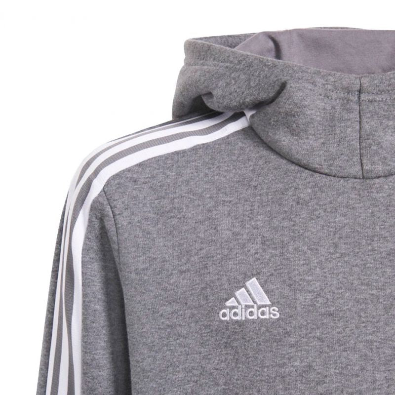 Adidas Tiro 21 Sweat Hoody Jr GP8803 Clothing/Training Adidas