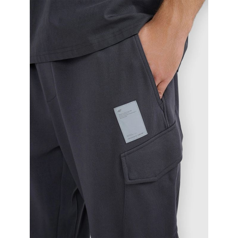 Men's jogger sweatpants 4F 4FRAW25TTROM1694-22S 4f