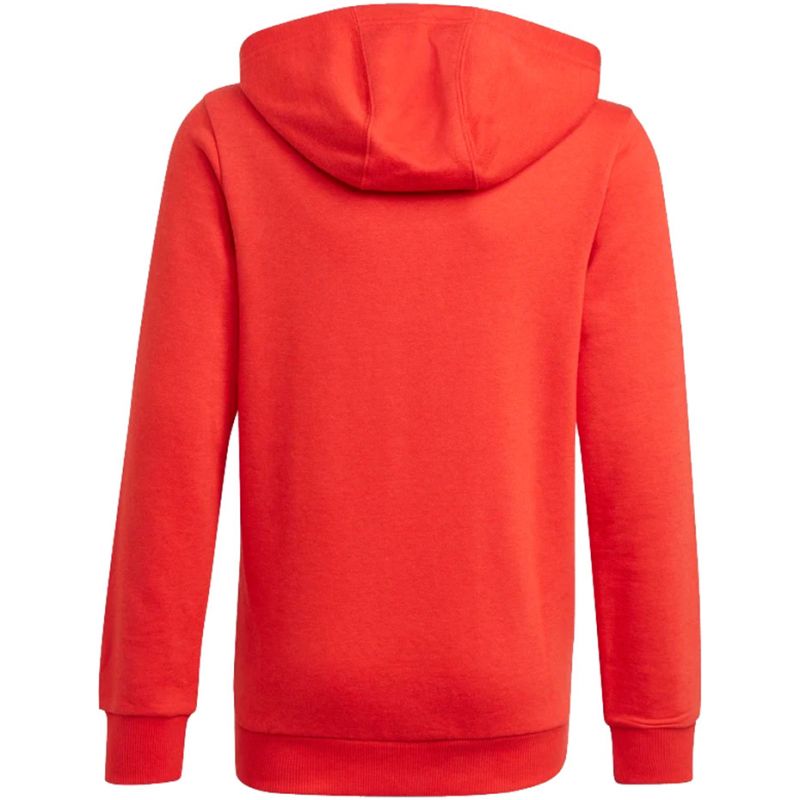 Adidas Essentials Big Logo Hoodie Jr GN4037 Clothing/Lifestyle Adidas