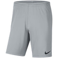 Nike Dry Park III NB K Kids Shorts Gray BV6865 012