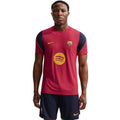 Nike FC Barcelona men's t-shirt burgundy II1839 621