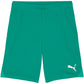 Puma Team Goal men's shorts green 705752 05 In preparation Your Sports Performance