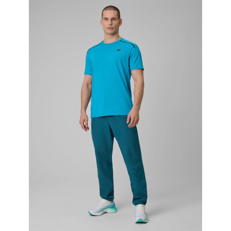 Men's quick-drying training pants 4F 4FRSS26TFTRM1411-30S