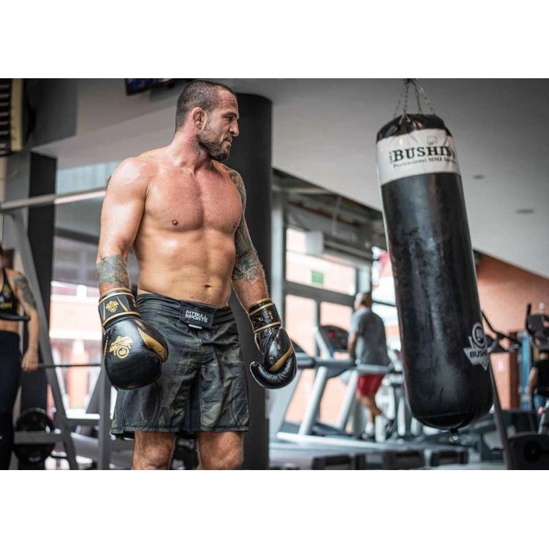 10oz Boxing Gloves - Aureos - Valor Series rękawice treningowe Your Sports Performance